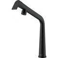 Franke Icon Swivel Spout Matt Black 115.0625.187